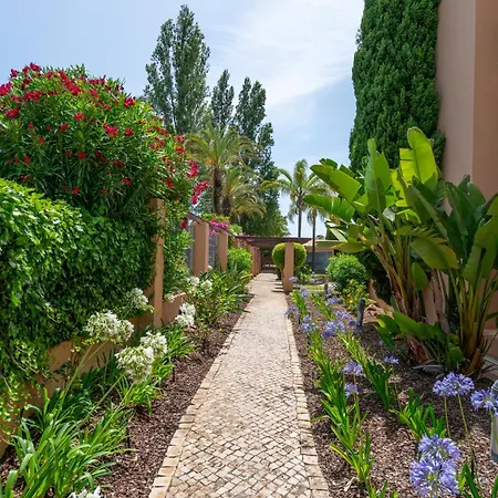 Coastal Pines By Seareen