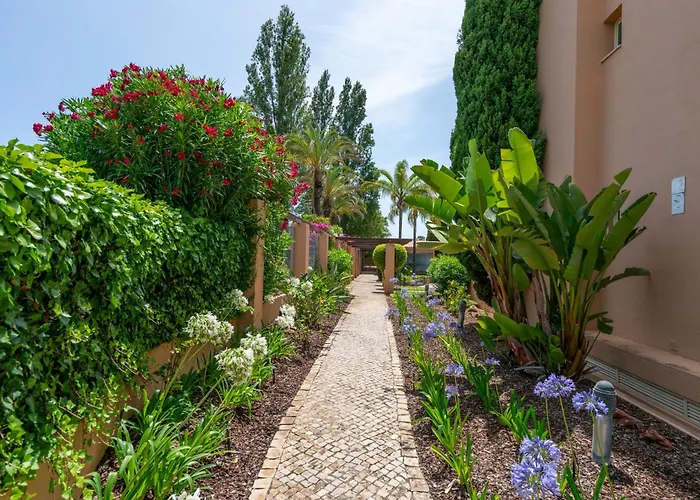 Coastal Pines By Seareen